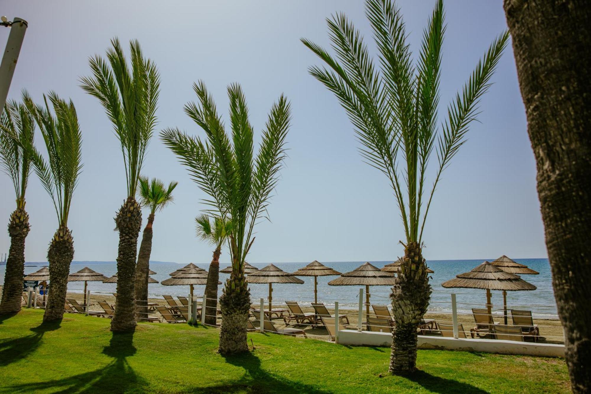 Golden Bay Beach Hotel Larnaca Exteriör bild Palm trees on the beach